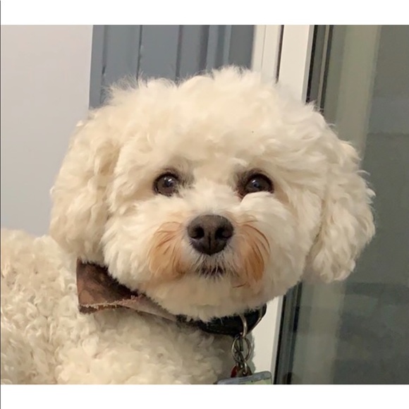 Meet your Posher, Sherri - Picture 1 of 1